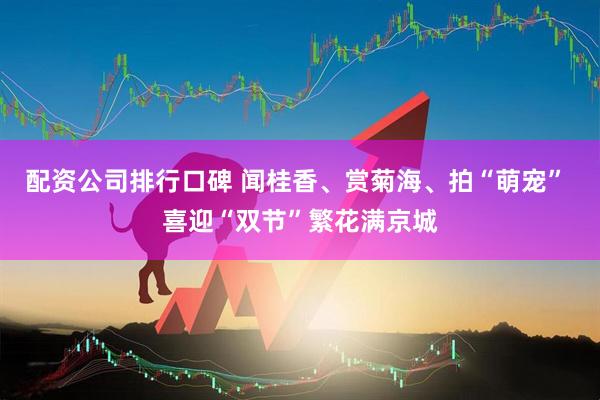 配资公司排行口碑 闻桂香、赏菊海、拍“萌宠” 喜迎“双节”繁花满京城
